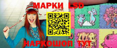 дмт Будённовск