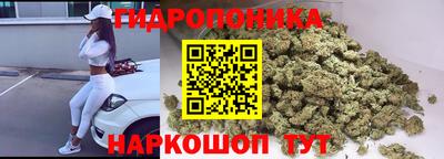 дмт Будённовск