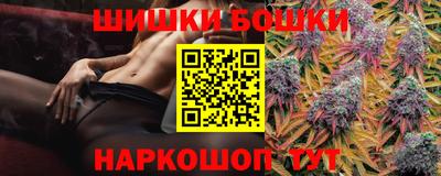 дмт Будённовск